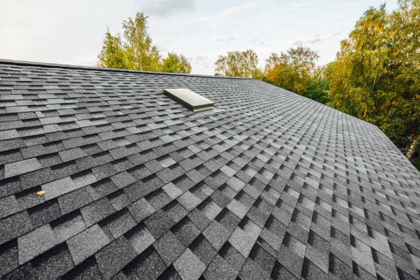 Shingles in the afternoon sunlight